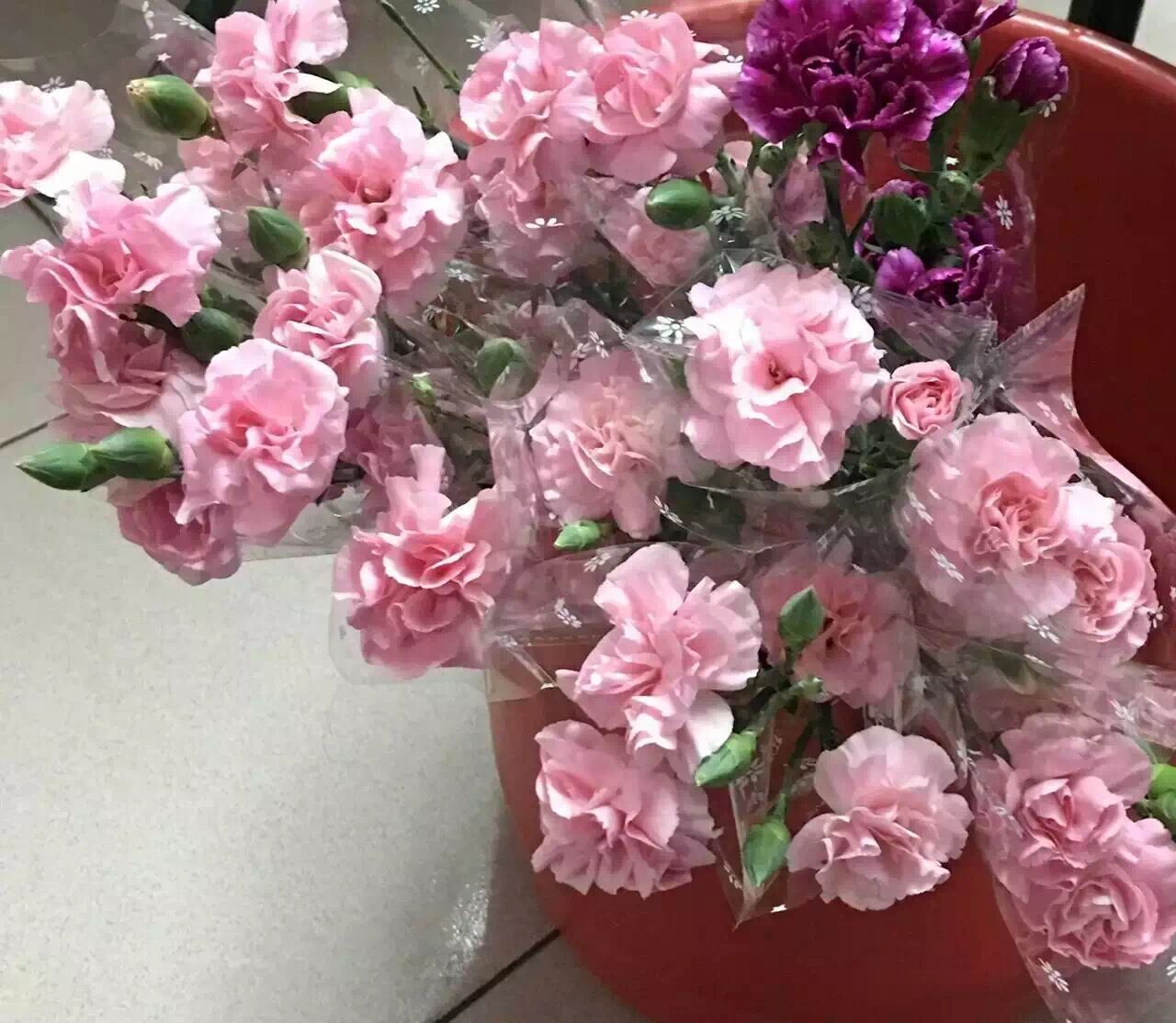 女神節(jié)快樂(lè)